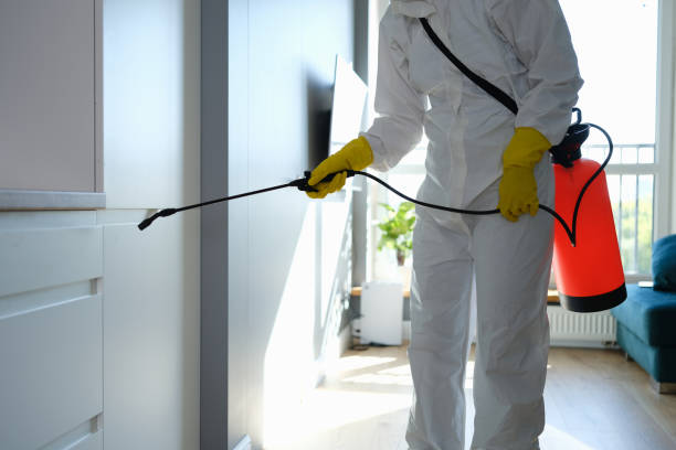 Best Residential Mold Removal  in Morn, GA